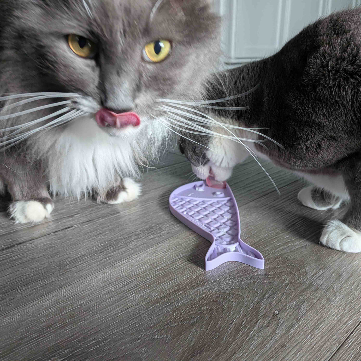 Goldfish emat Small Enrichment Lick Mat for Cats