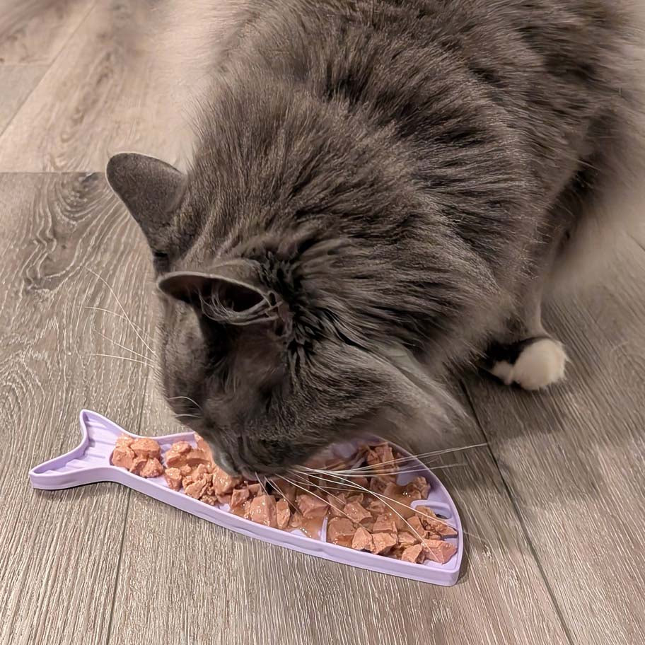 Goldfish emat Small Enrichment Lick Mat for Cats