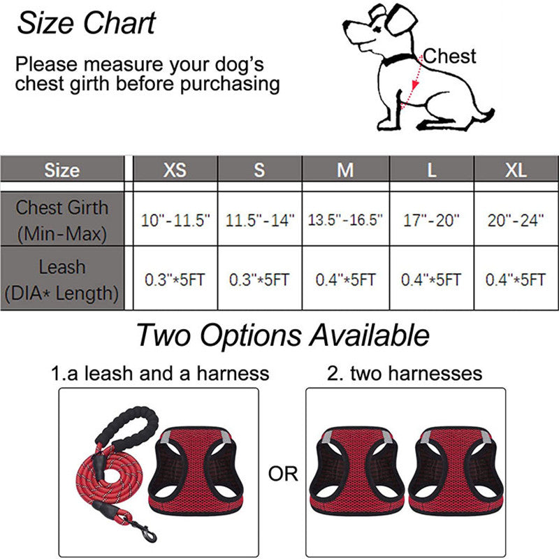 Reflective Harness & Dog Leash