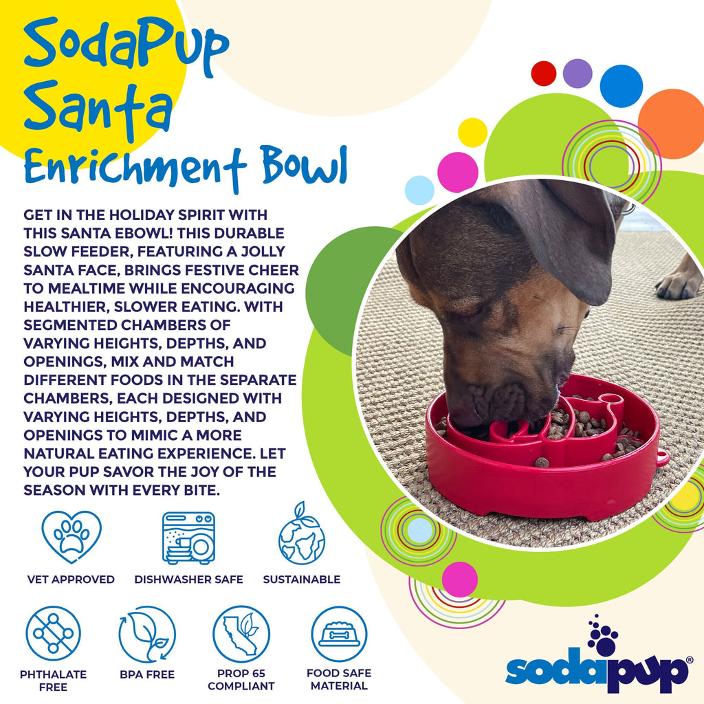 Santa Christmas eBowl Deep Slow Feeder Dog Bowl