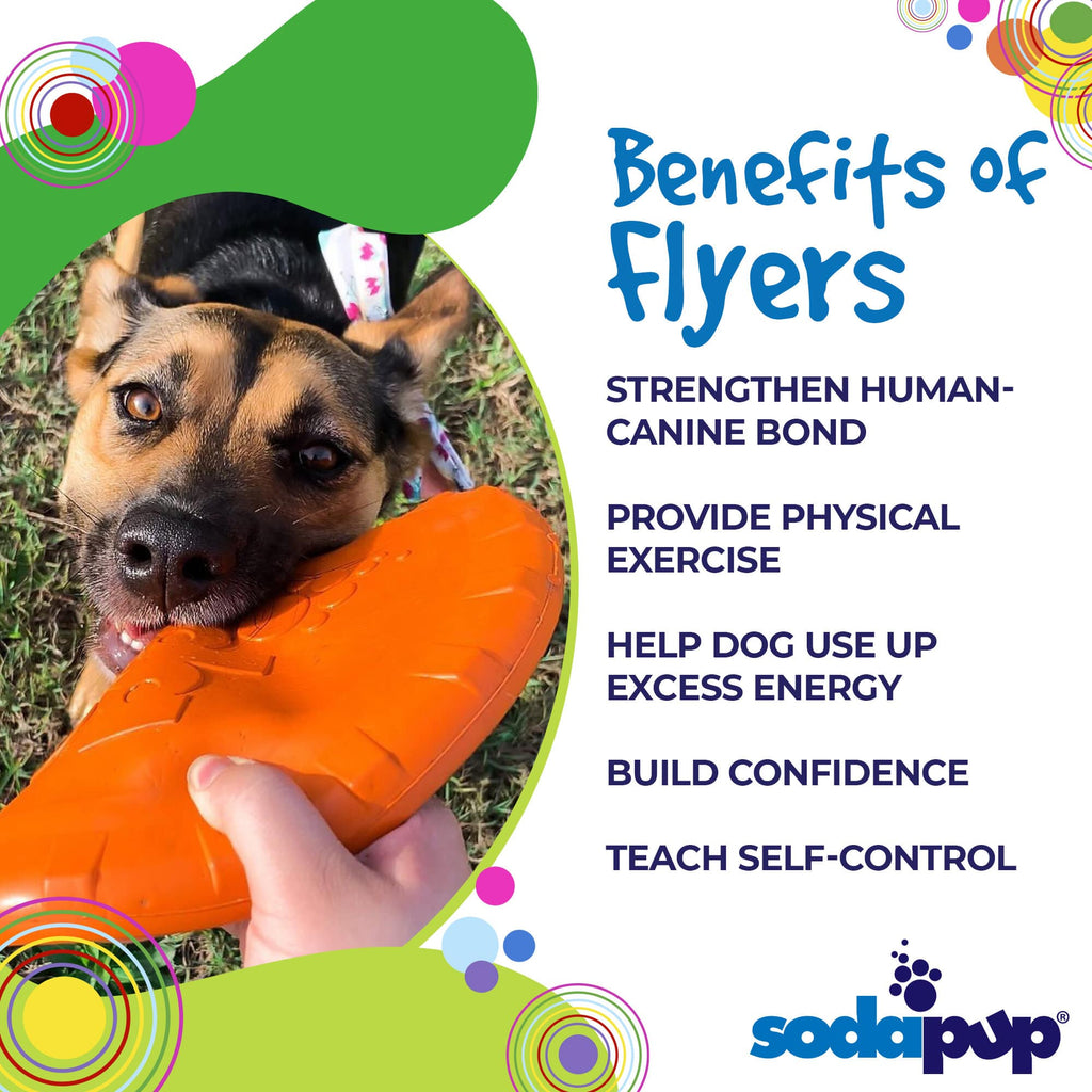 Bottle Top Flyer Rubber Frisbee for Dogs