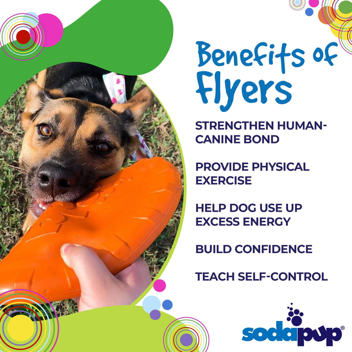 Bottle Top Flyer Rubber Frisbee for Dogs