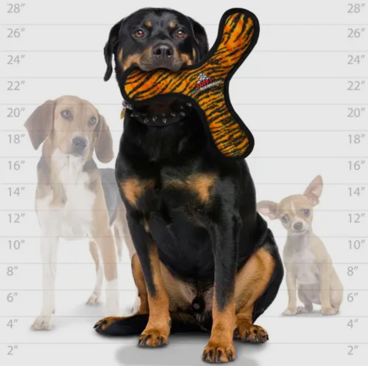 Tuffy Mega Boomerang Tiger, Durable, Tough, Squeaky Dog Toy