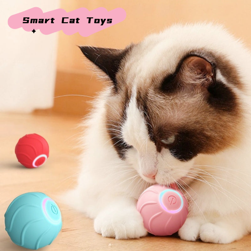 Cat playing with a pink and blue toy ball on a wooden floor, with 'Smart Cat Toys' branding.