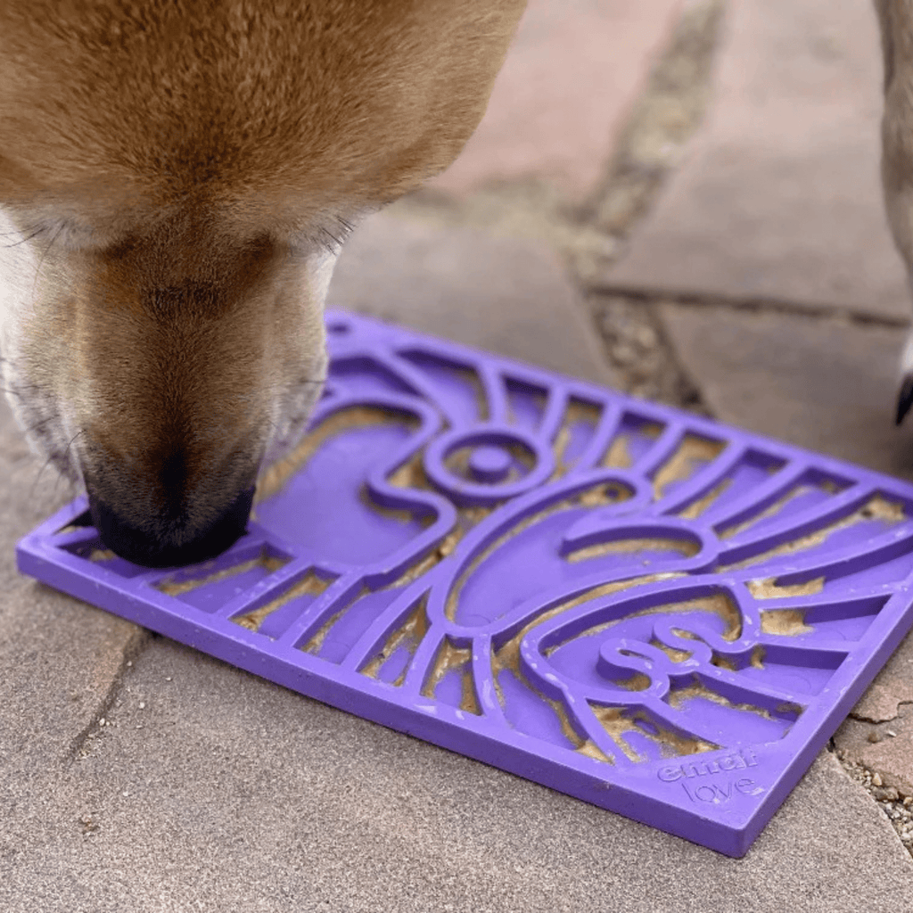 Lick Mats for Cats and Small Dogs