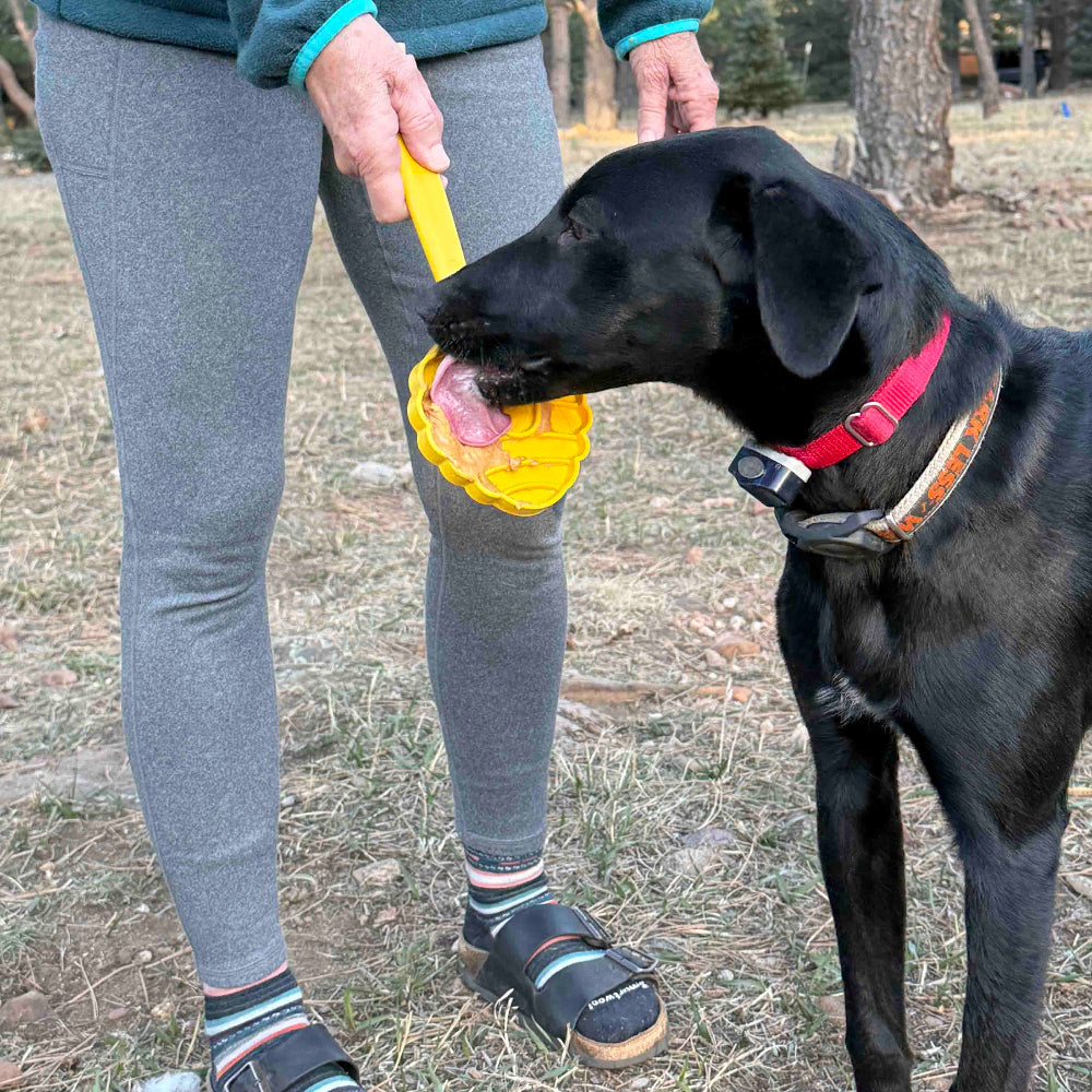 eStick Hand-Held Dog Enrichment Lick Stick