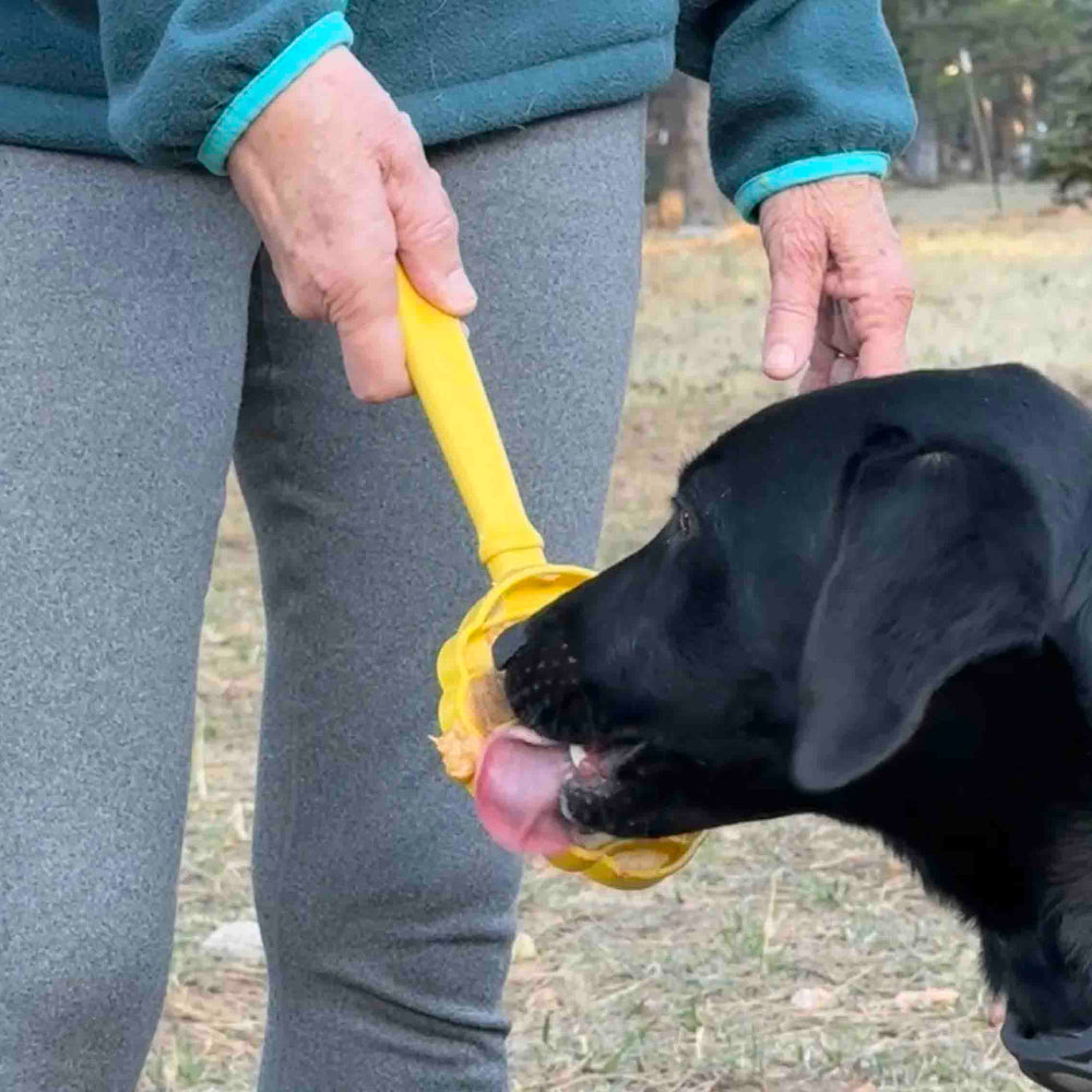eStick Hand-Held Dog Enrichment Lick Stick