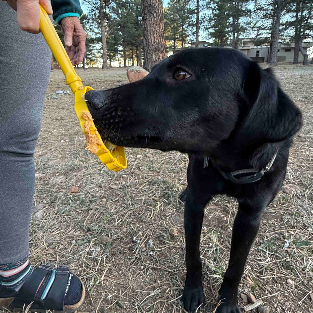 eStick Hand-Held Dog Enrichment Lick Stick