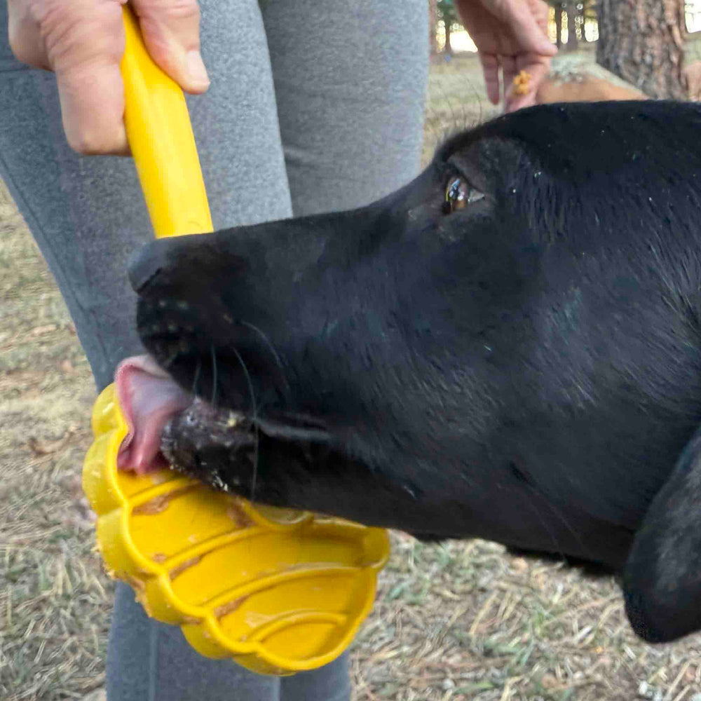eStick Hand-Held Dog Enrichment Lick Stick