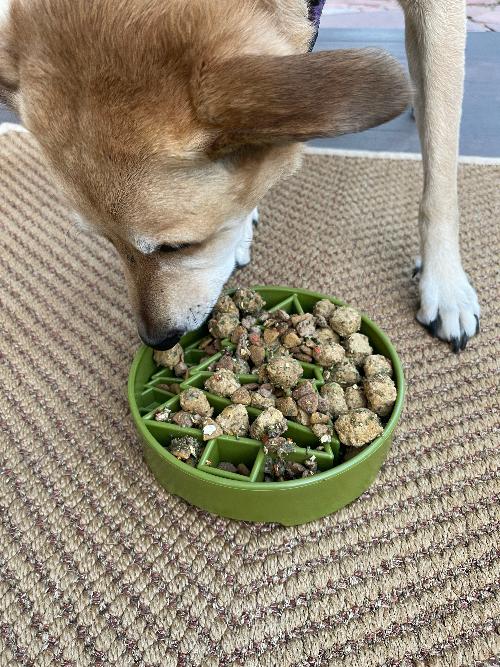 Pine Tree Christmas eBowl Deep Slow Feeder Dog Bowl