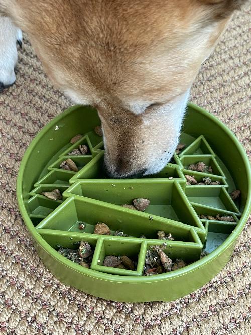 Pine Tree Christmas eBowl Deep Slow Feeder Dog Bowl