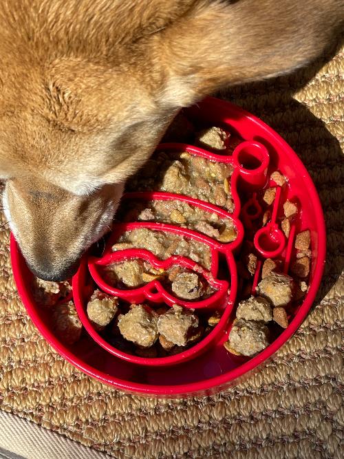 Santa Christmas eBowl Deep Slow Feeder Dog Bowl