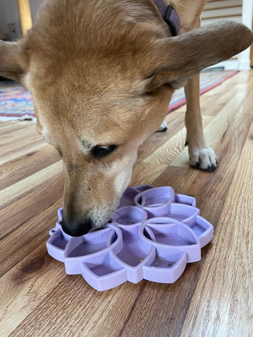 Mandala Softie eTray Shallow Slow Feeder Dog Bowl with Suction Cups