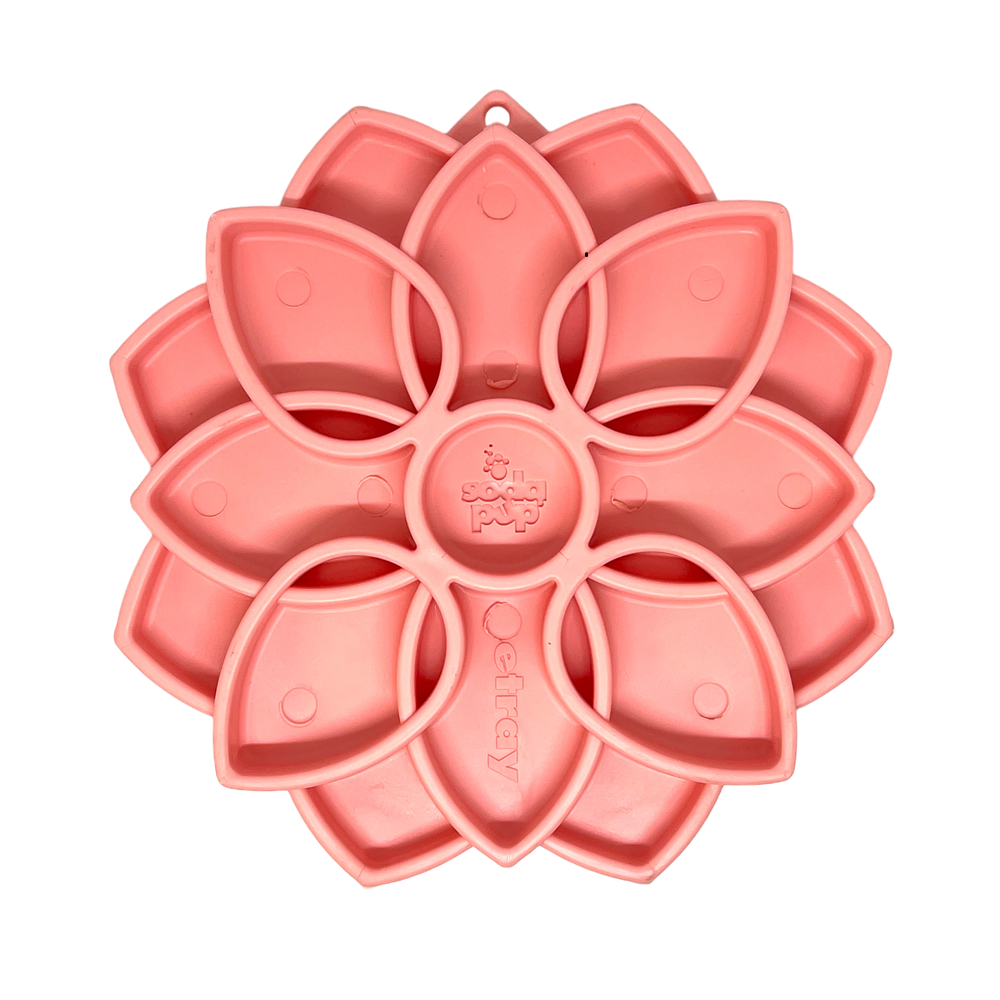 Mandala Softie eTray Shallow Slow Feeder Dog Bowl with Suction Cups