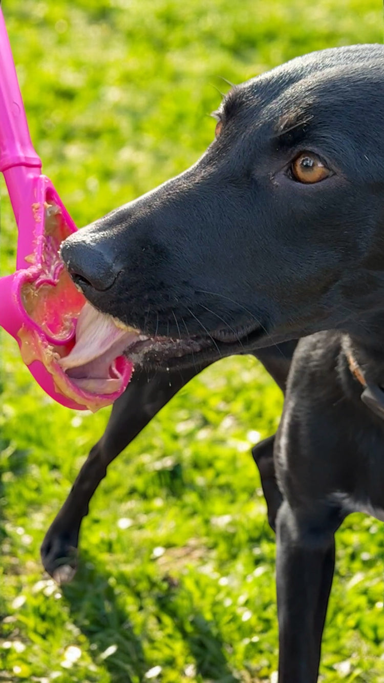eStick Hand-Held Dog Enrichment Lick Stick