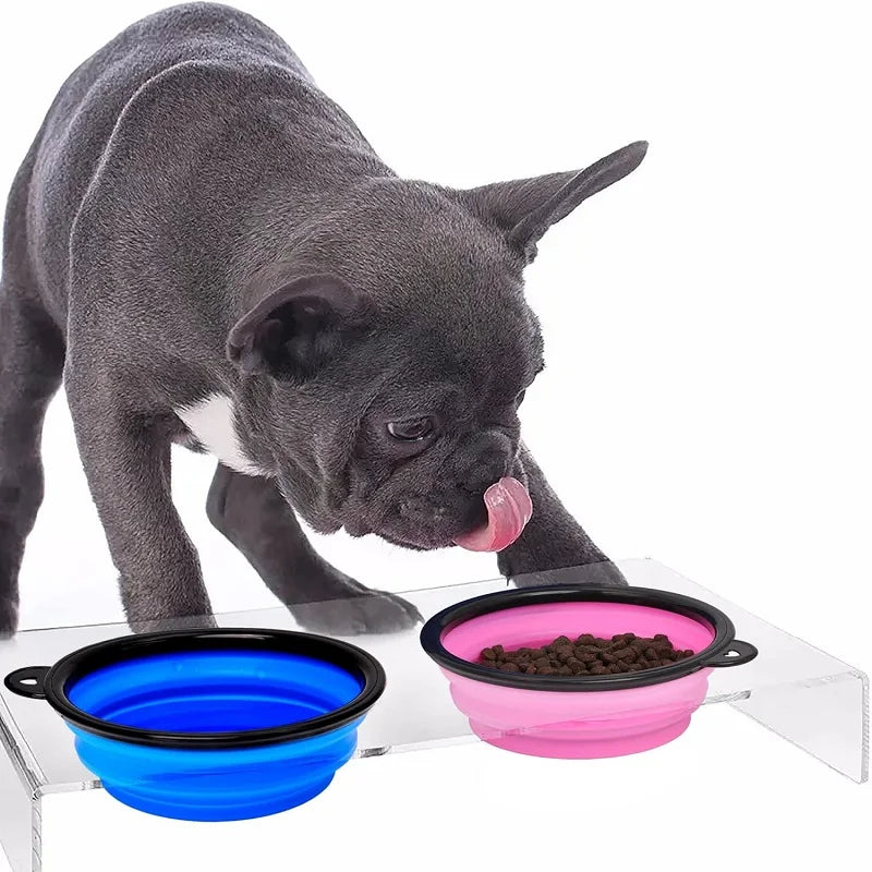 A gray French bulldog licks a pink collapsible pet bowl filled with kibble while another blue collapsible pet bowl sits beside it on a clear acrylic stand against a white background.
