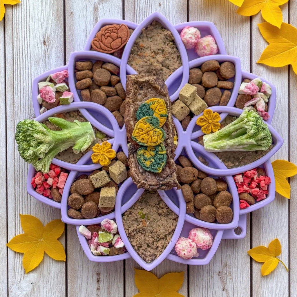 Mandala Softie eTray Shallow Slow Feeder Dog Bowl with Suction Cups