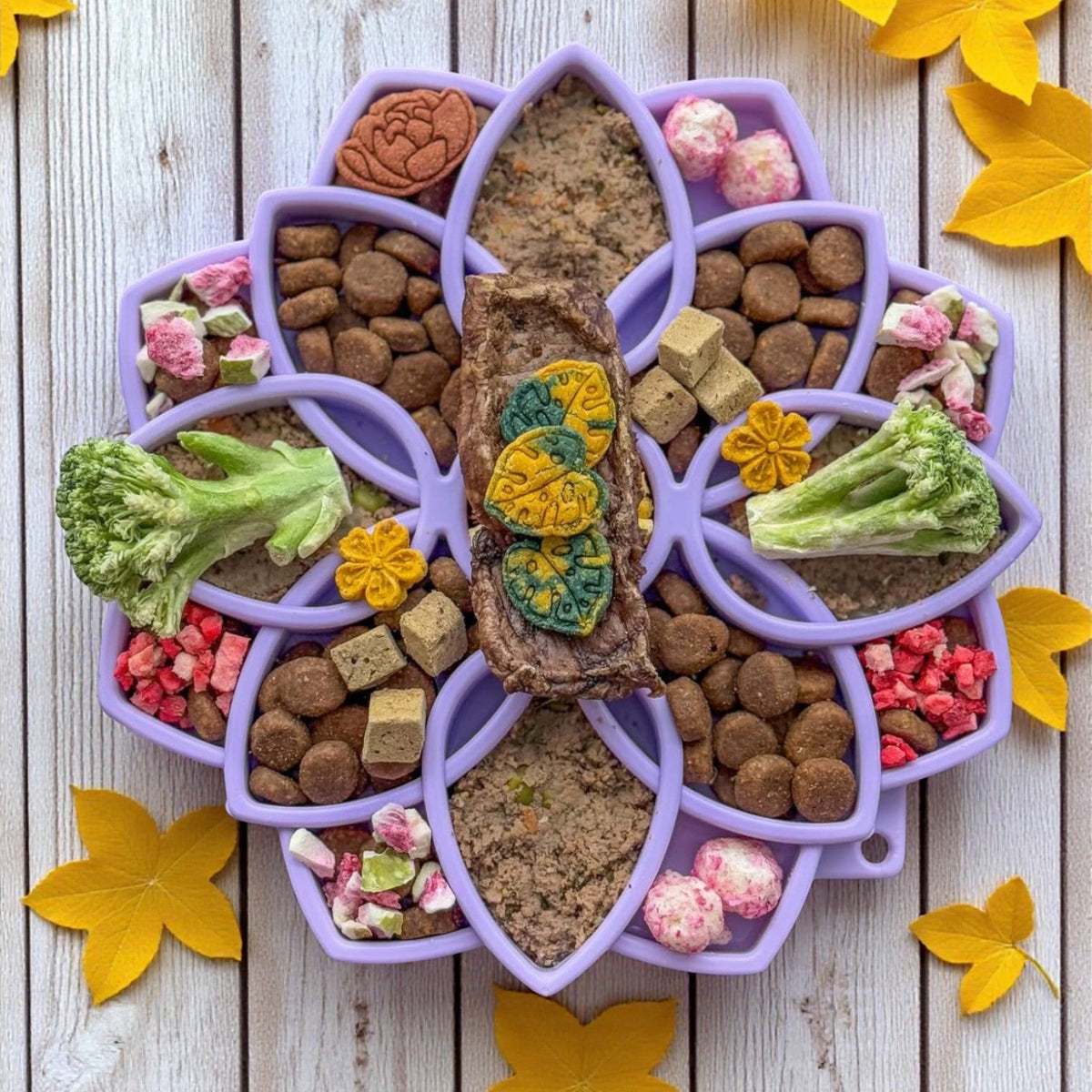 Mandala Softie eTray Shallow Slow Feeder Dog Bowl with Suction Cups