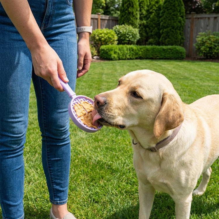 eStick Hand-Held Dog Enrichment Lick Stick