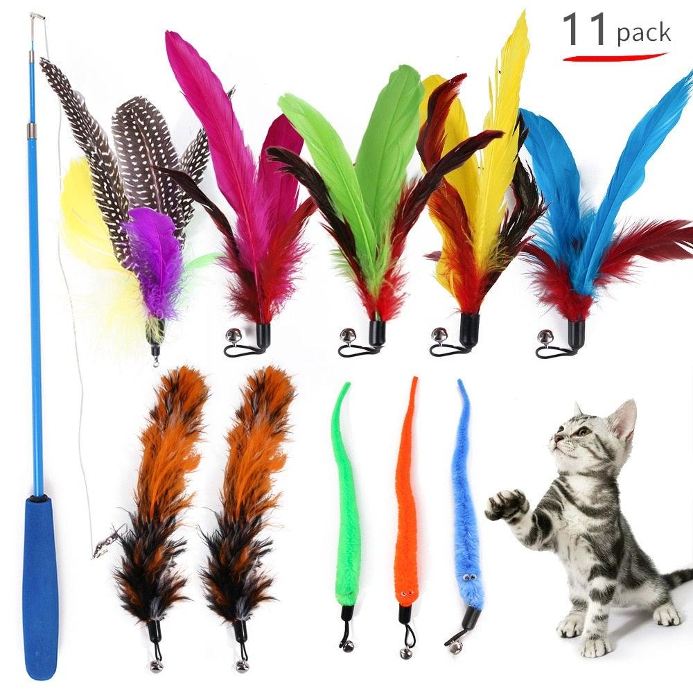 Assorted colorful feather cat toys with a blue handle and a cat on a white background.