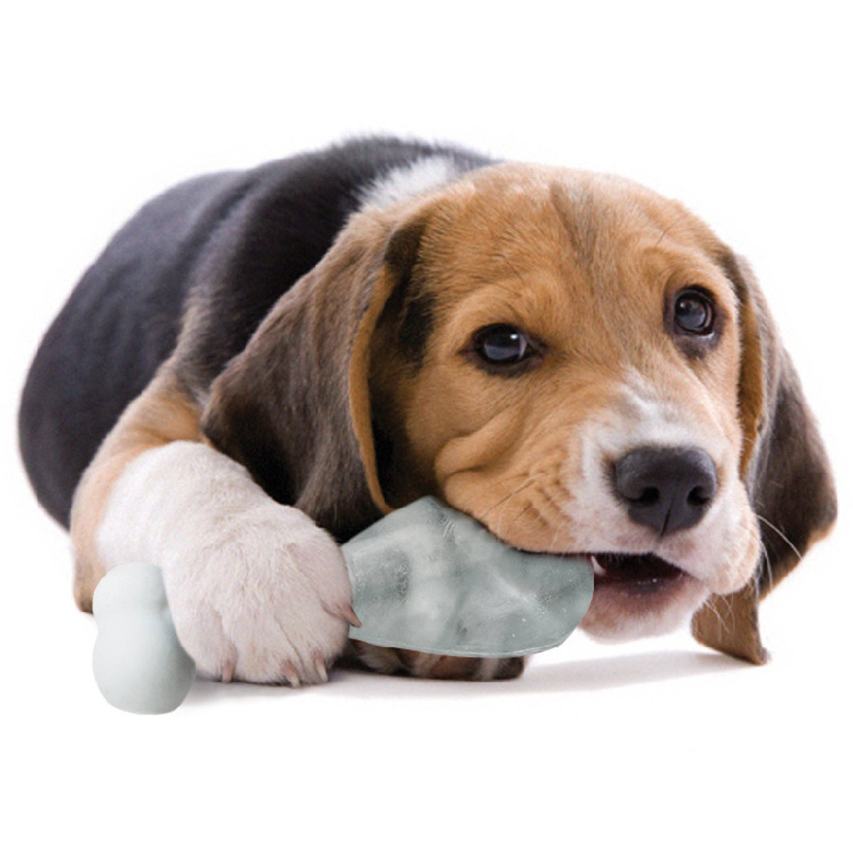 Pupsicle Ice Lolly Maker for Dogs